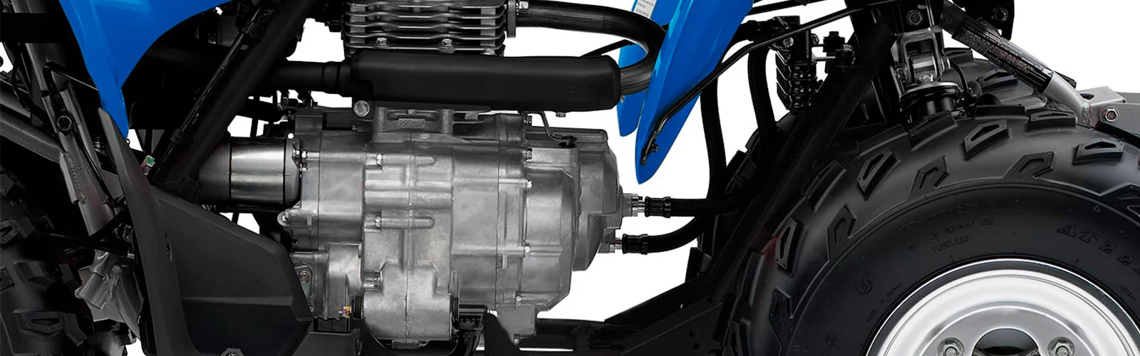 ingeniería_TRX 250X
