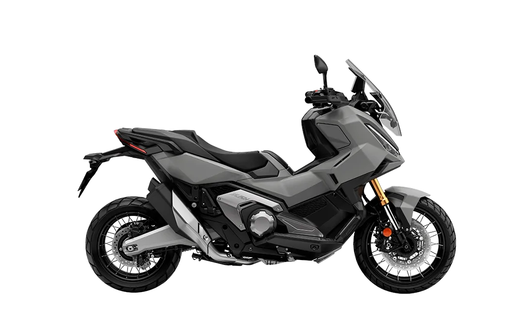 x-adv-gris