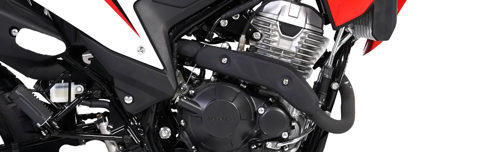 Potencia-que-resalta